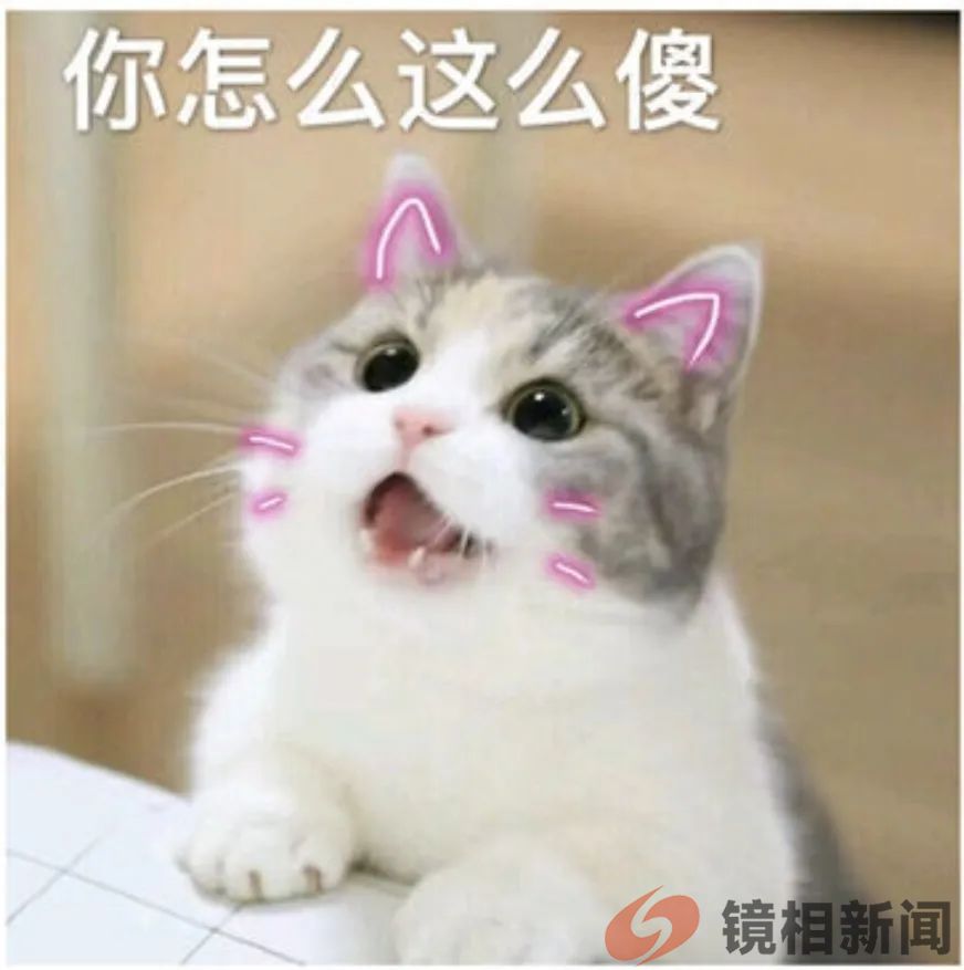 鹤峰这地儿的干部,比洮南“浮桥案”的干部傻180倍?(图3) 微信图片_20230716080742.jpg