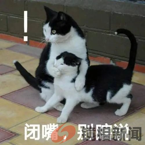 鹤峰这地儿的干部,比洮南“浮桥案”的干部傻180倍?(图6) 微信图片_20230716080807.jpg