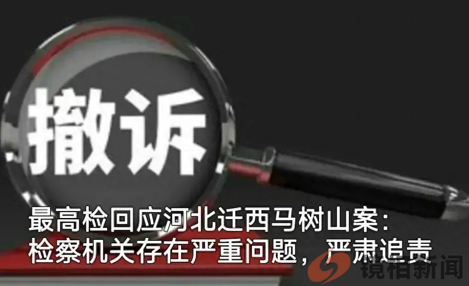 漏网之鱼！马树山案只盯着李贵富和检察长，却漏下一条“大鱼”