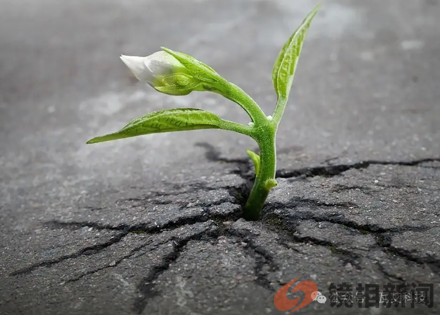 3个已被科学家证明,但是人类始终难以接受的理论,你都知道几个(图5) 微信图片_20240214174918.png