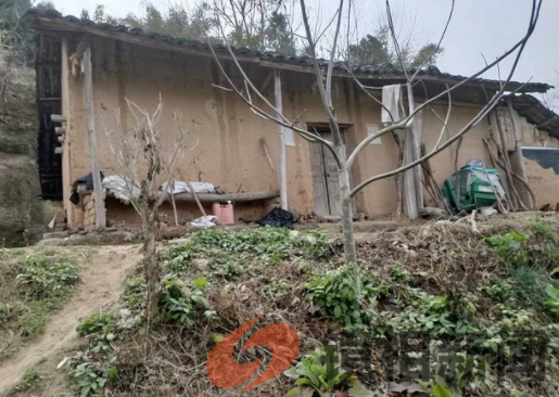 农村又出现“四大害人精”,村村都有,你见过几种?(图3) 微信图片_20240216222355.png