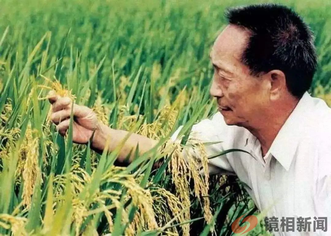 获诺贝尔奖的难进门,在门里的却获不了奖,院士授评机制可否稍改(图9) 微信图片_20240218080753.jpg