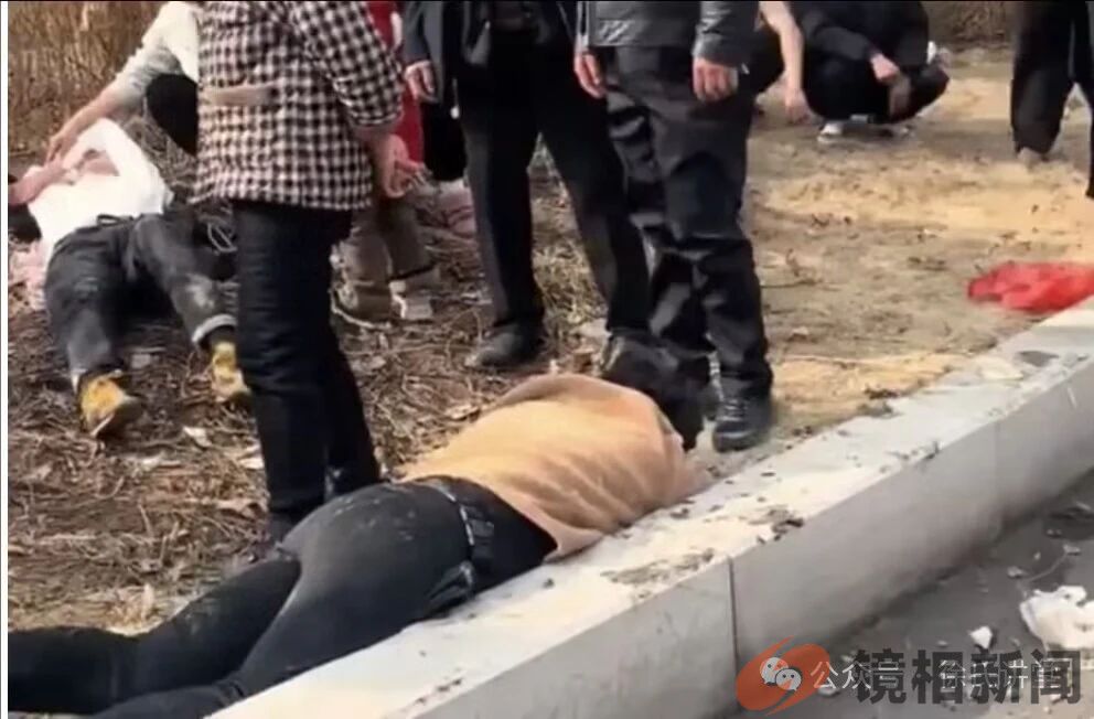 微信图片_20240219022300.jpg