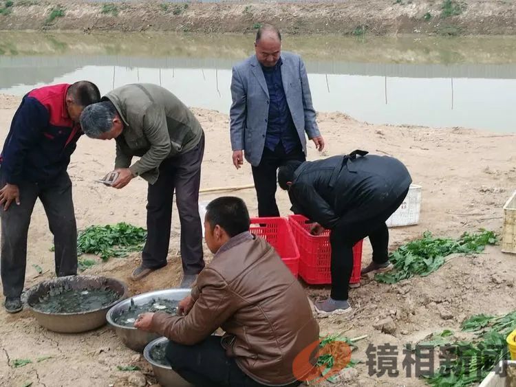 微信图片_20240224232207.jpg