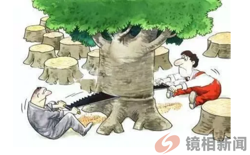 采伐林木无小事 乱砍滥伐获刑罚(图1) cdfd3eea4f87398904591c3f586eca2.png