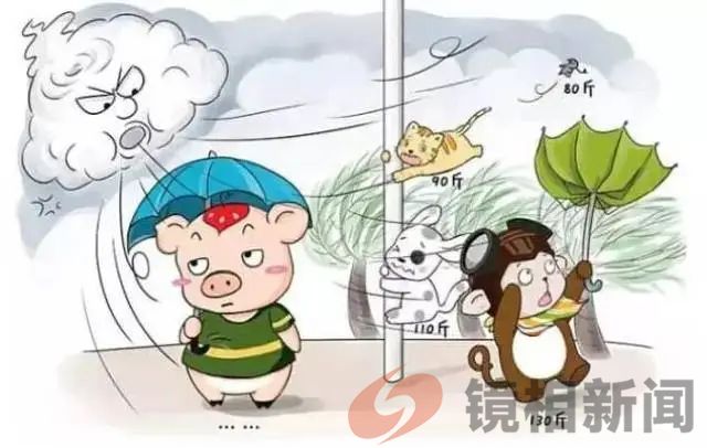 云南南涧,趣说“四大”!(图4) 微信图片_20240429205652.jpg