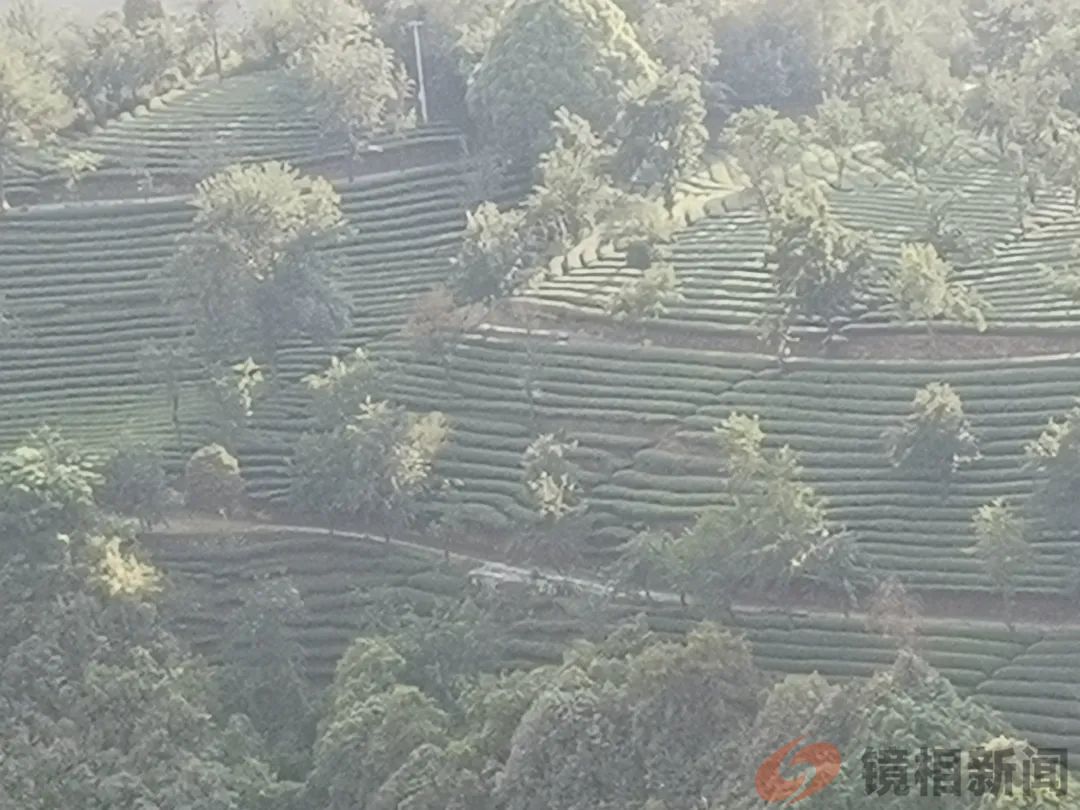 云南南涧,趣说“四大”!(图8) 微信图片_20240429205732.jpg