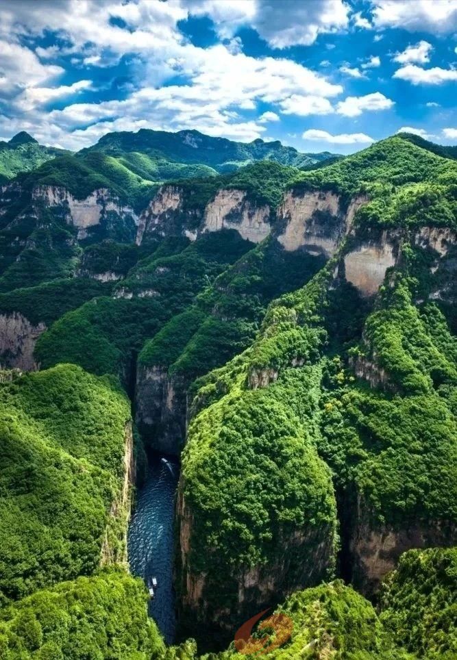 学思并进 凝心铸魂——南阳社旗县法院开展2024年度第三批政治轮训