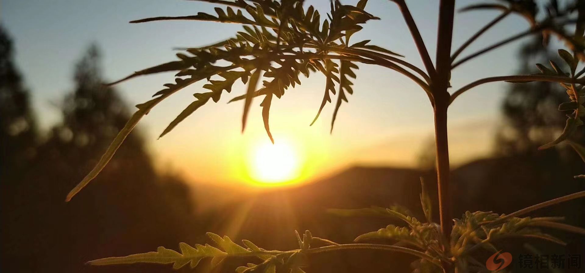 <strong>河南南阳桐柏县检察院：检察温情护航未成年</strong>