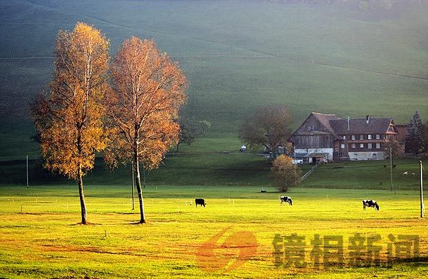 多种呼吸道传染病交替叠加流行 国家疾控局释疑