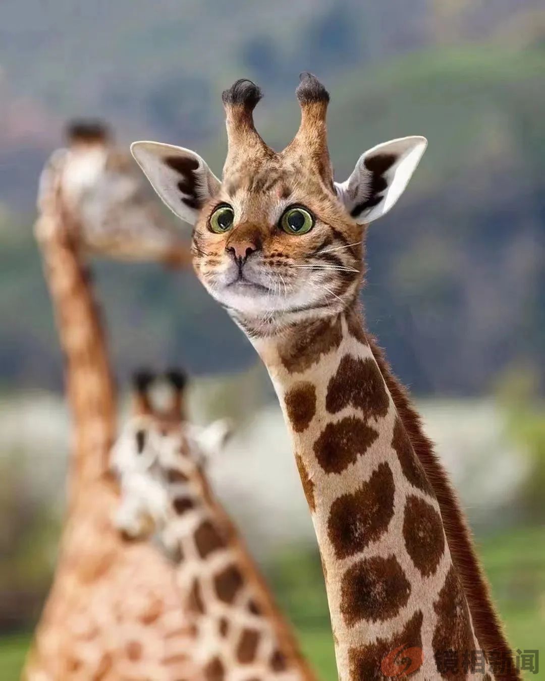 <strong>容忍“不顺从”的少数人，保护“被讨厌”的</strong>