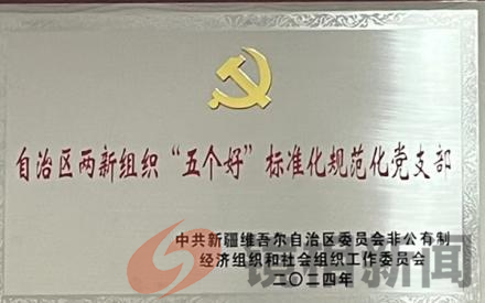 喀什河南商会党支部荣膺自治区两新组织"五个好"党支部称号