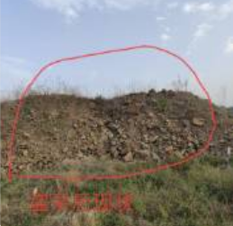 守护民心所向，彻查基层“微腐败”不容迟疑