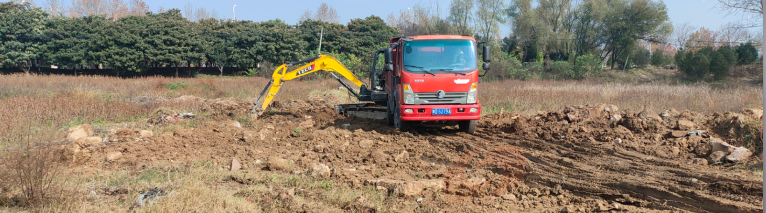 <strong>黑手盗土，挖出法治漏洞与生态隐忧</strong>