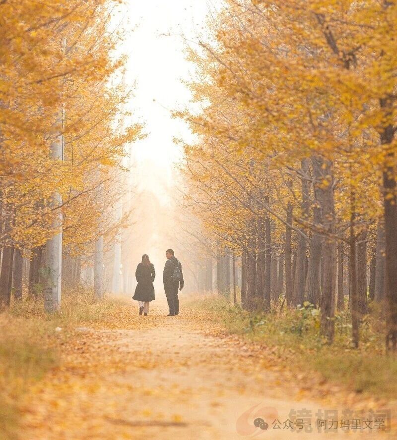 <strong>多年以后</strong>